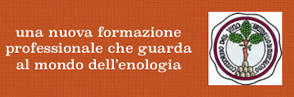 progetto consorzio
